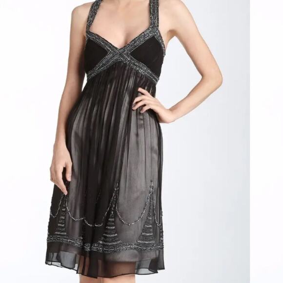 Adrianna Papell Dresses & Skirts - Adrianna Papell Silk Chiffon Beaded Evening Dress